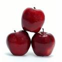 apples6.jpg