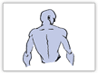 back-CT.gif