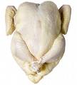 chicken6.jpg