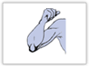 elbow-CT.gif