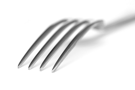 fork1.jpg
