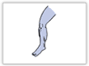 leg-CT.gif