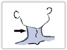 neck-CT.gif