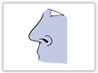 nose-CT.gif