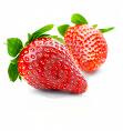strawberries6.jpg