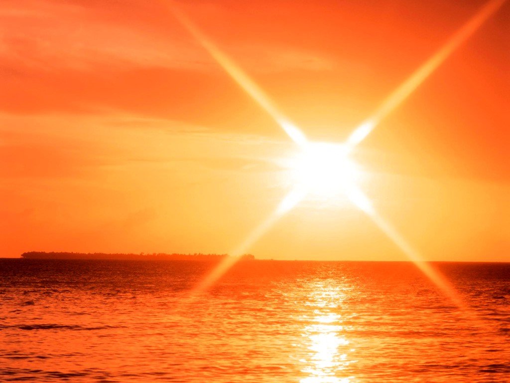 sunny.jpg